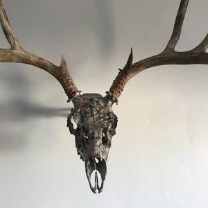 Meet your Posher, Austin